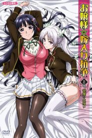 Ojousama Yomeiri Kousou!